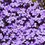 Thumbnail: Biri cushion cover