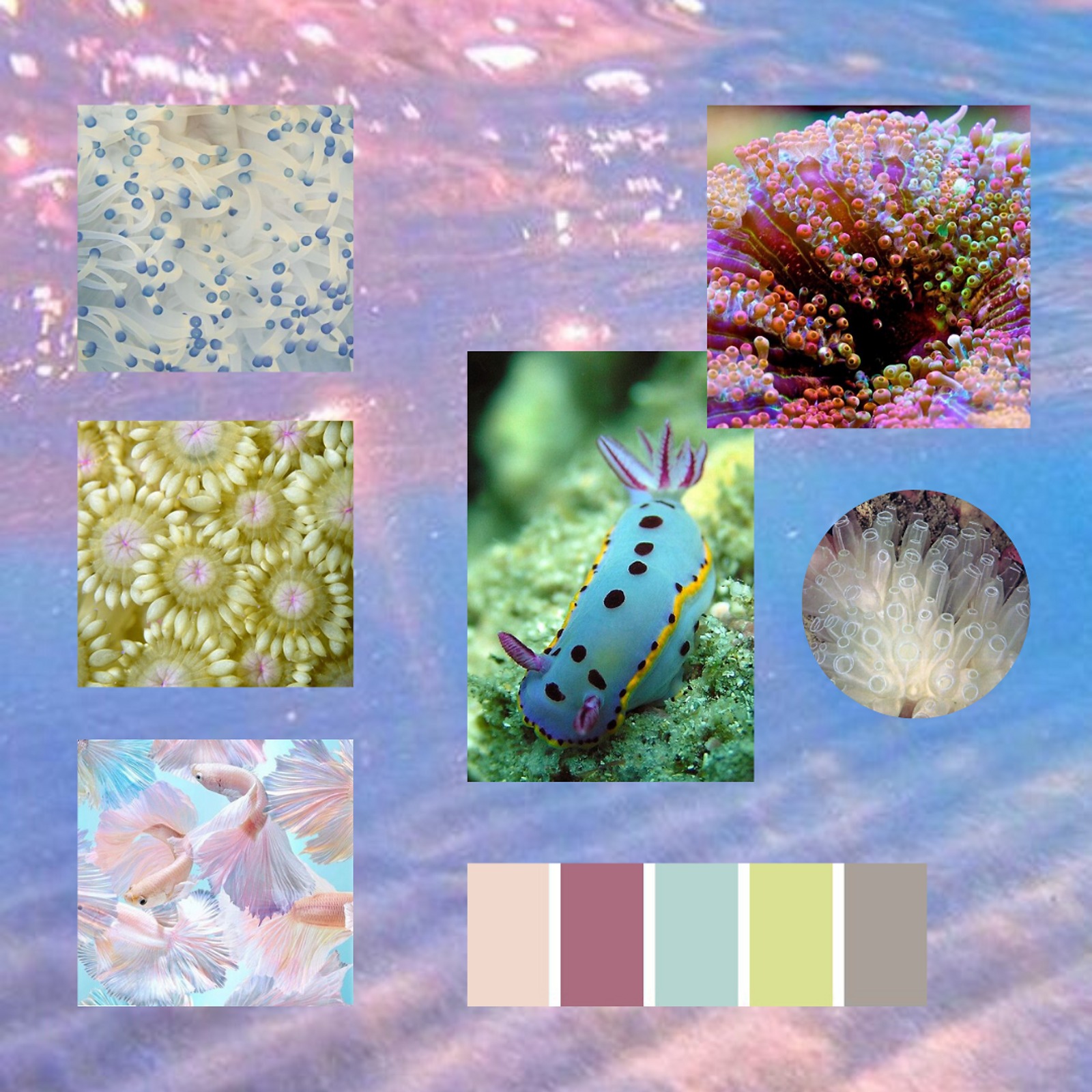 Thumbnail: Anemone Handwoven Textile Art