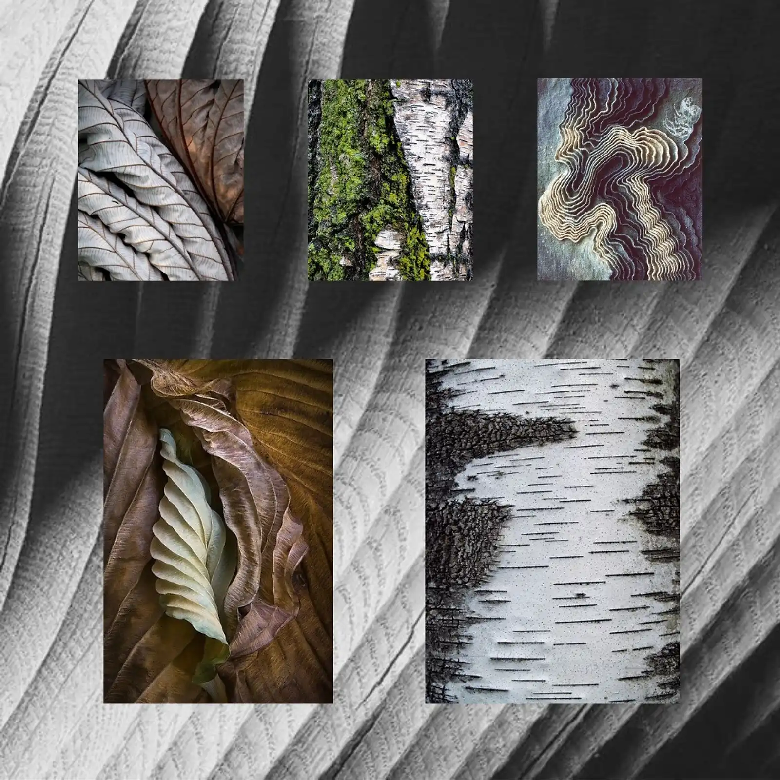 Thumbnail: Bani cushion cover